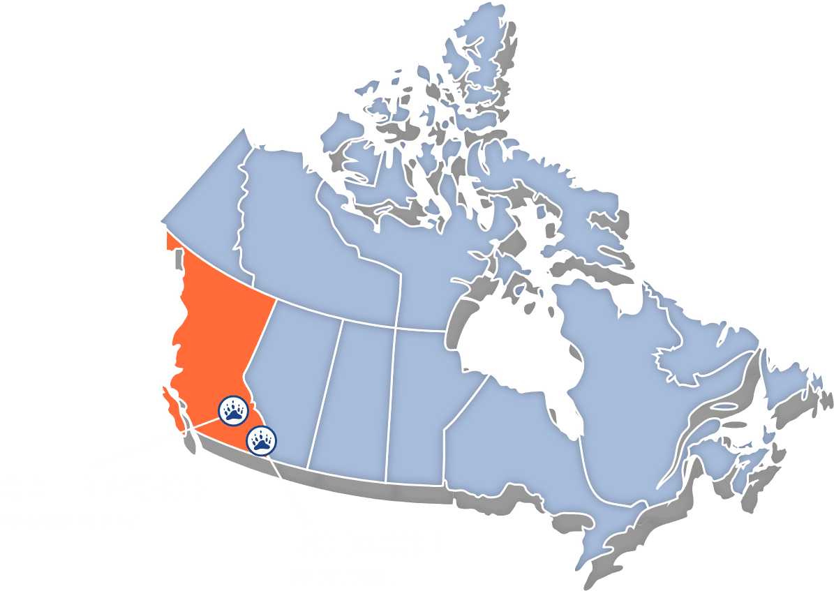 project location map